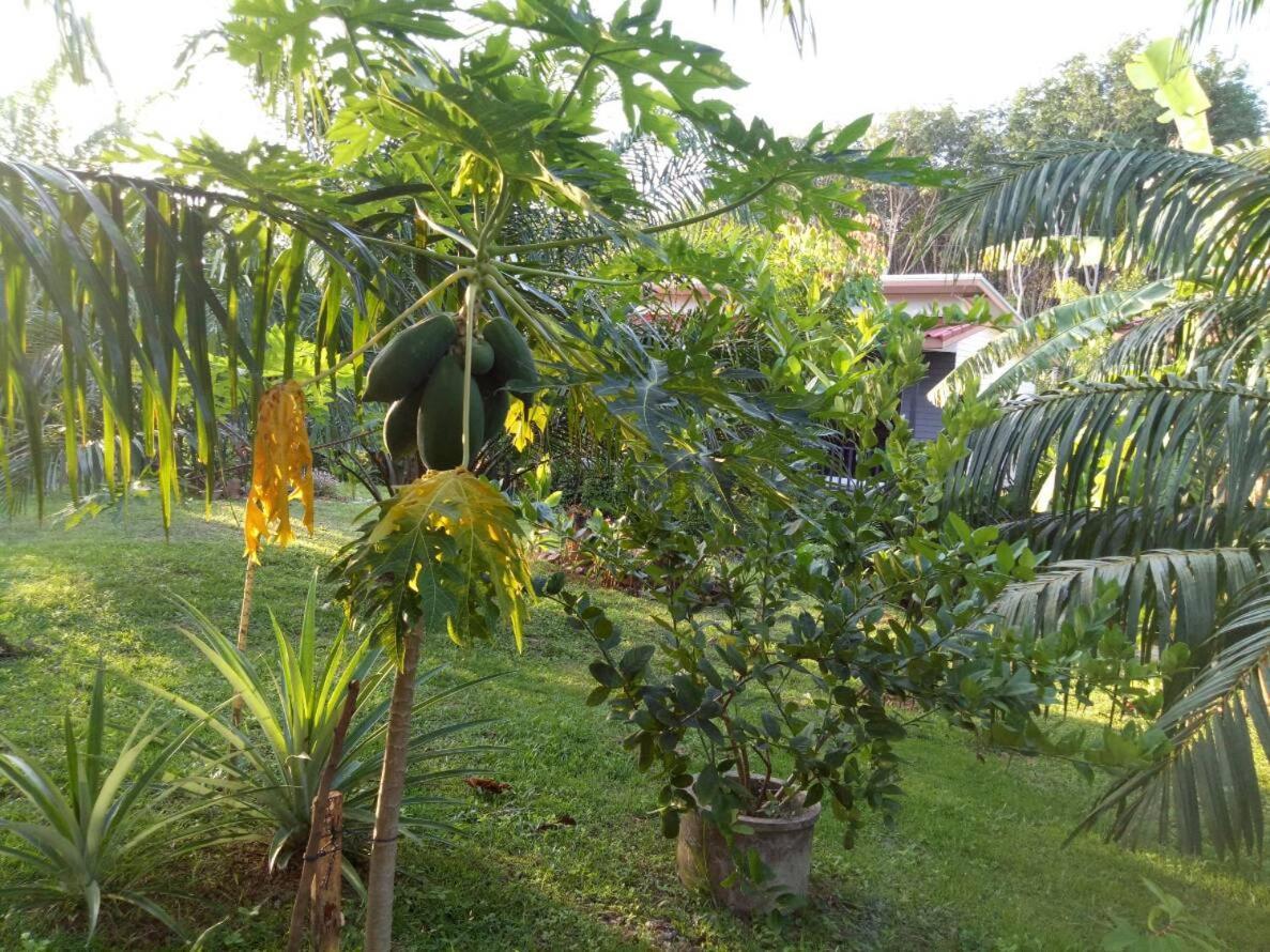 Baan Reenaa Lanta Koh Lanta Exterior photo